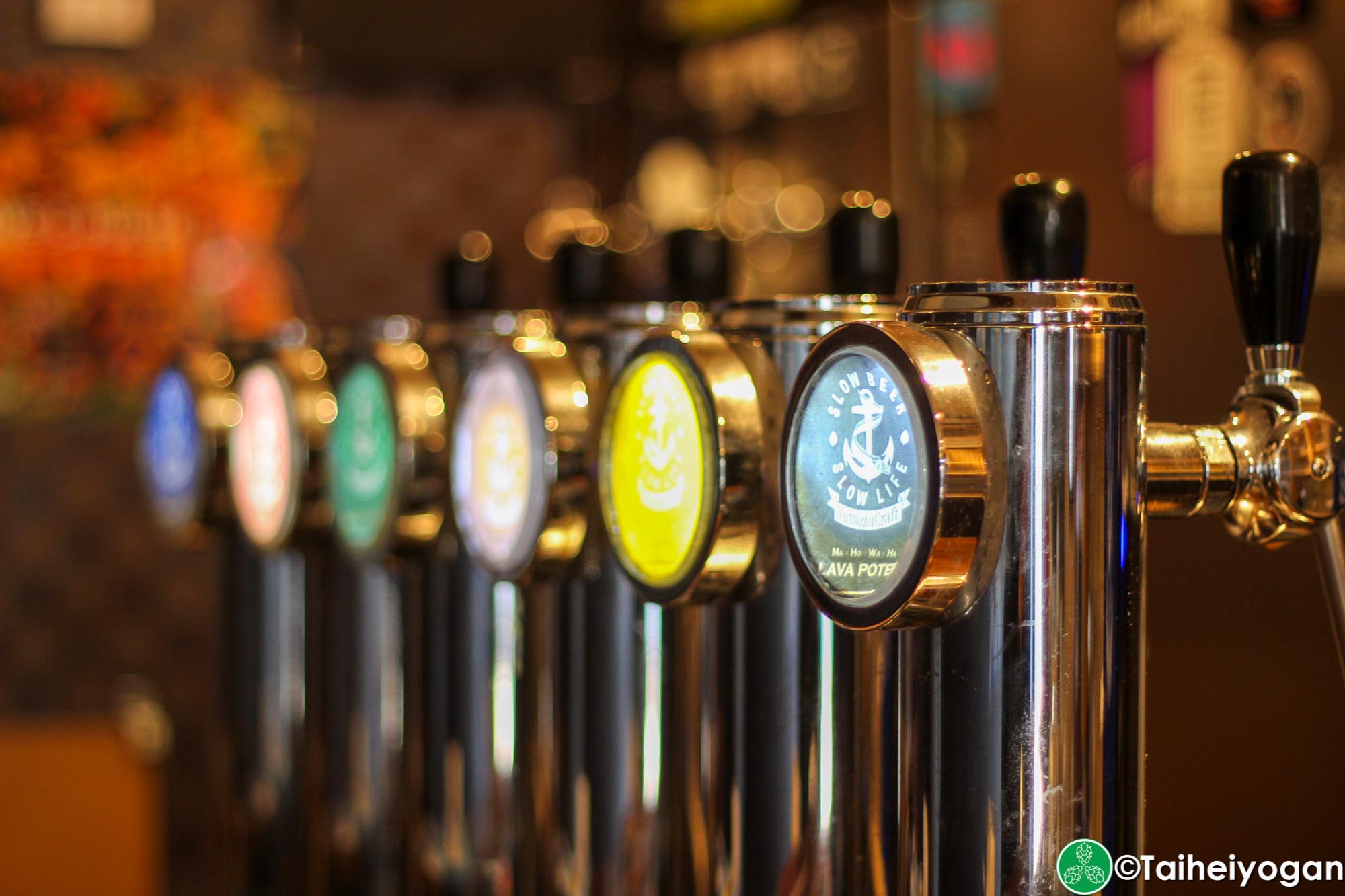 Beer Field - Interior - Beer Taps