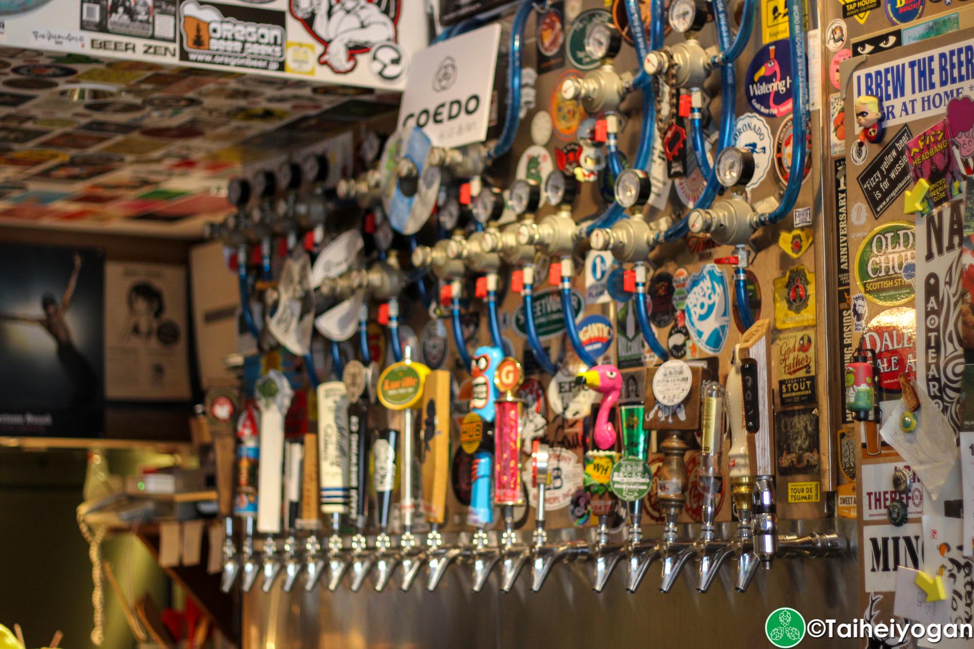 Watering Hole - Interior - Beer Taps