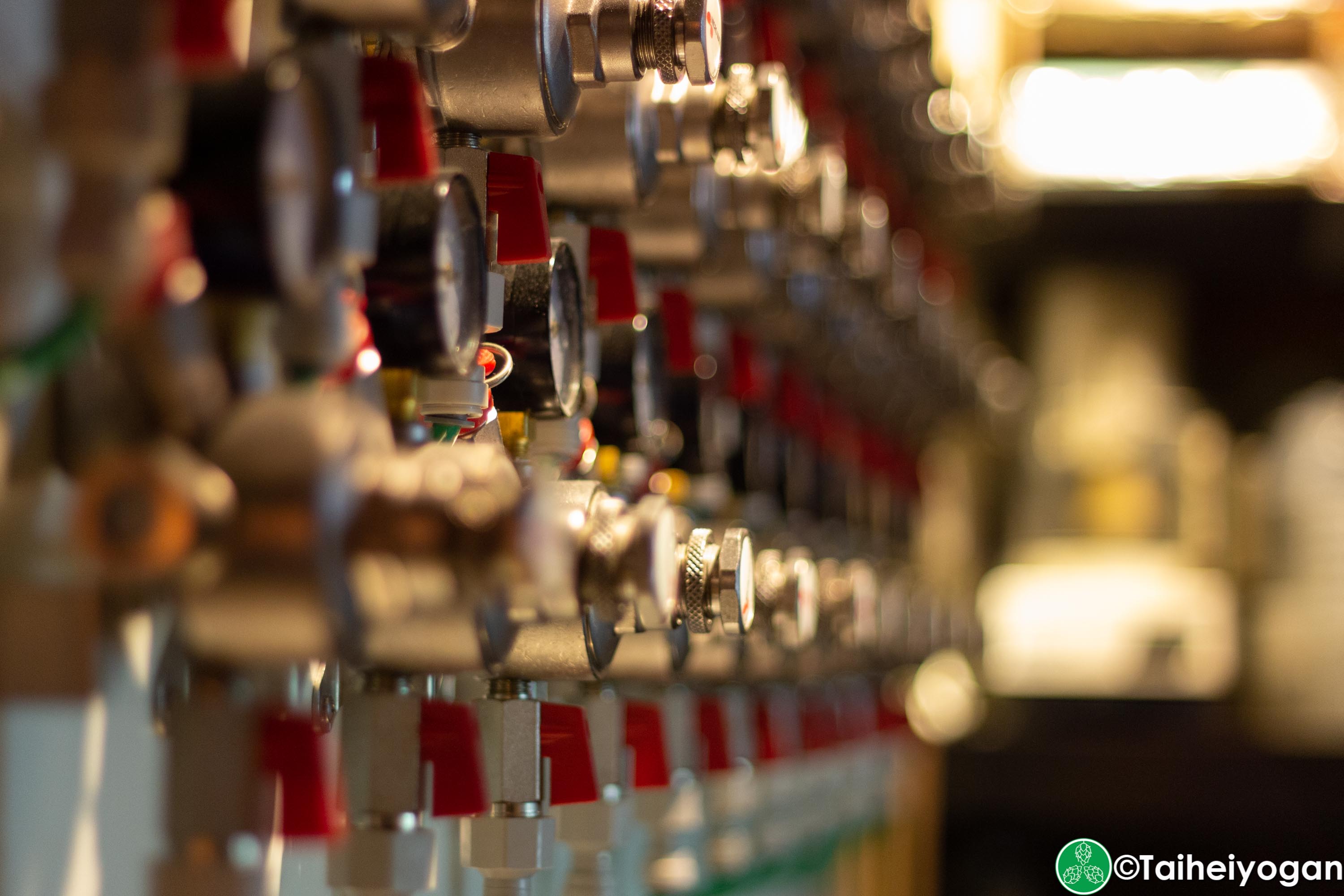 Craft Beer Bar Ibrew (Ginza/銀座) - Interior - Beer Taps