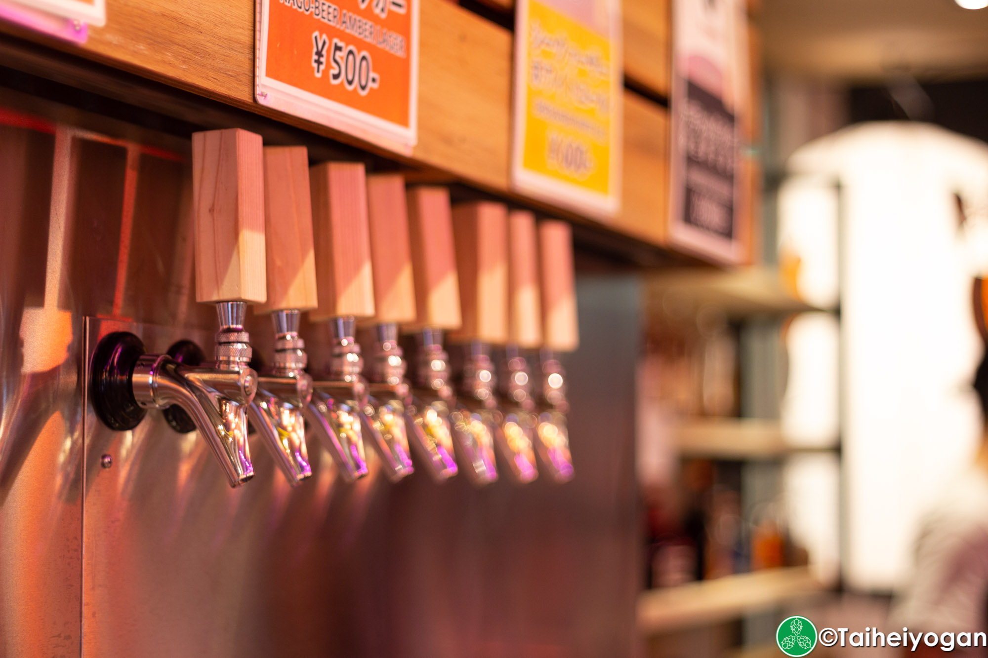 Craft Beer Shimaneko・クラフトビール しまねこ - Interior - Craft Beer Taps
