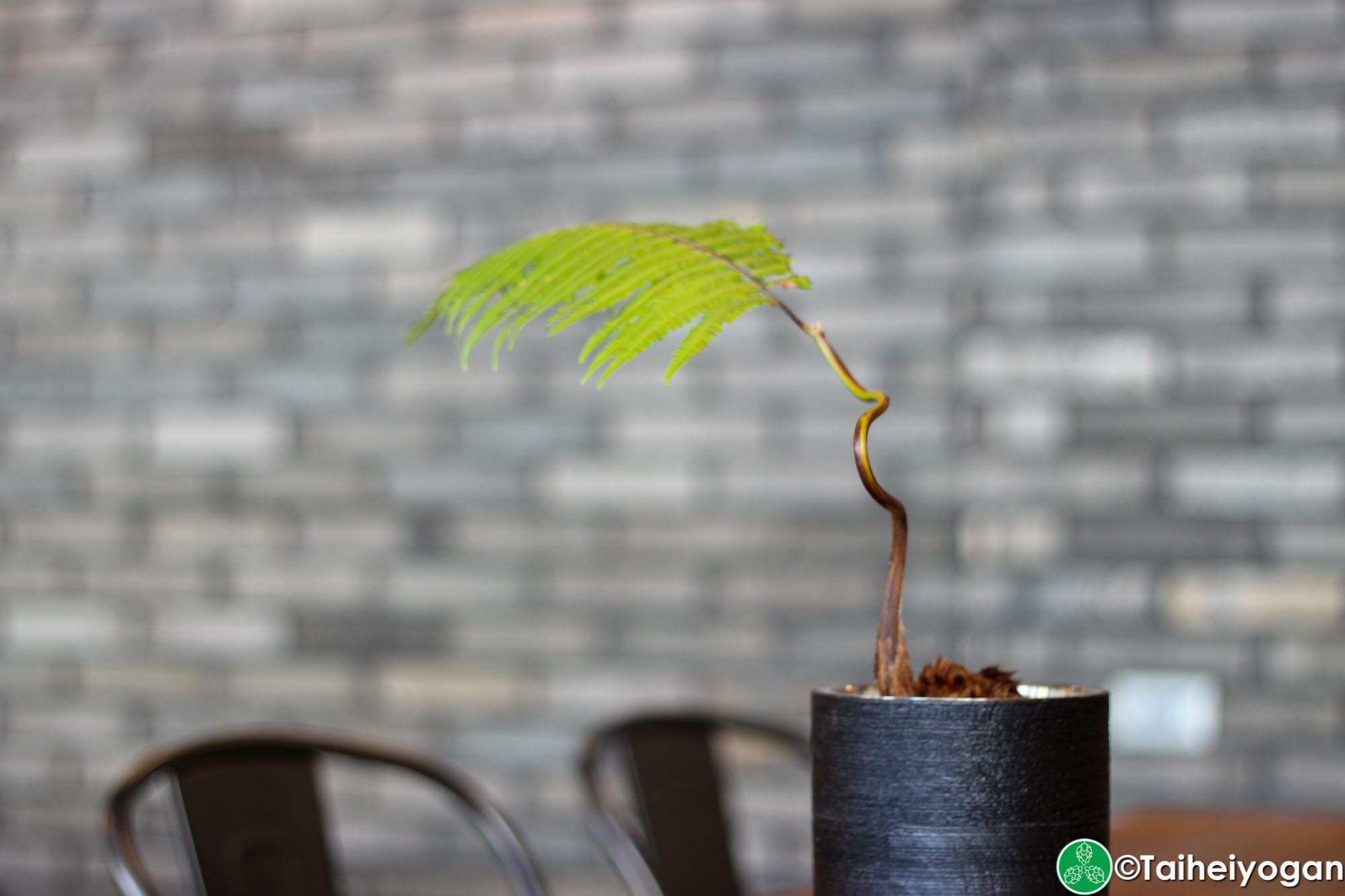 Ukishima Brewery Taproom - Interior - Decorations