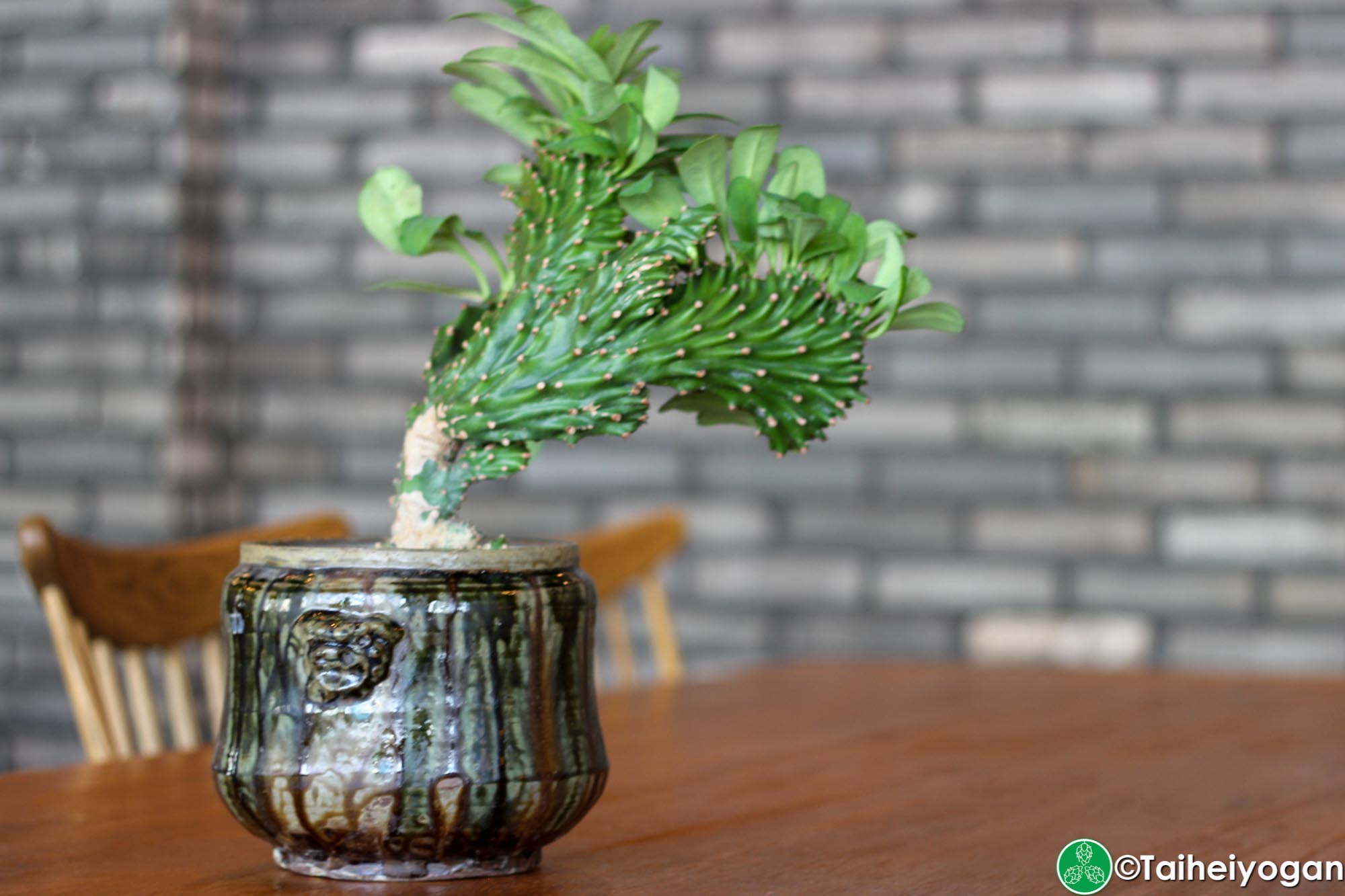 Ukishima Brewery Taproom - Interior - Decorations