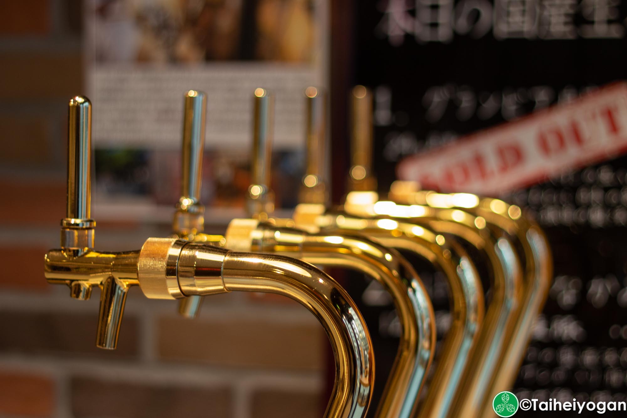 TDM 1874 Aoyama - Interior - 1F - Craft Beer Taps