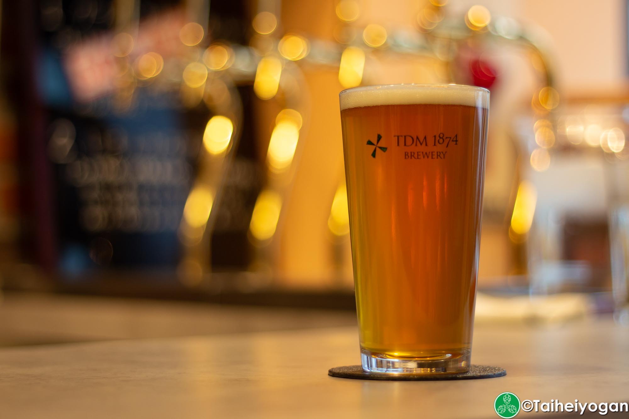 TDM 1874 Aoyama - Craft Beer