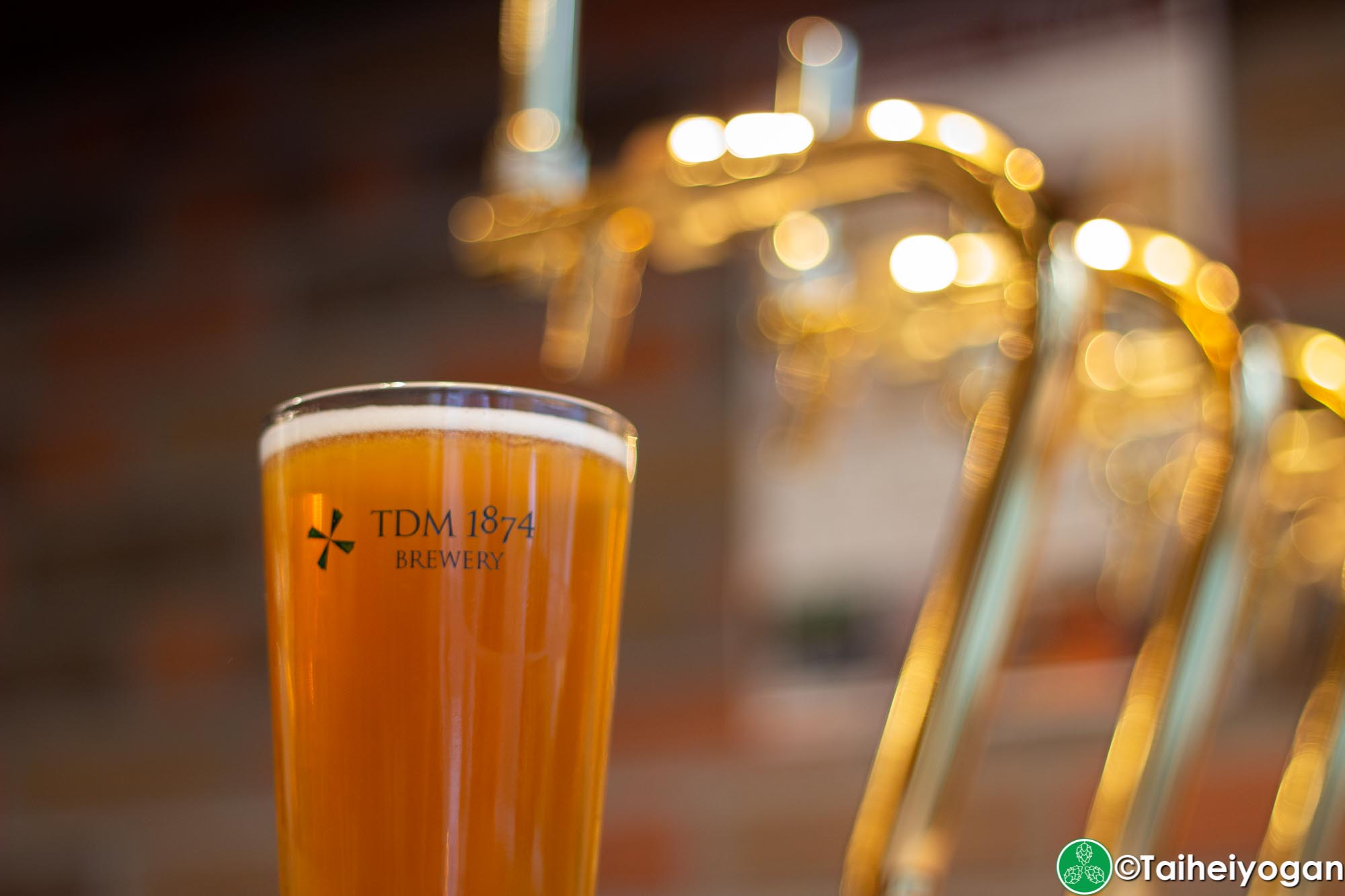 TDM 1874 Aoyama - Craft Beer
