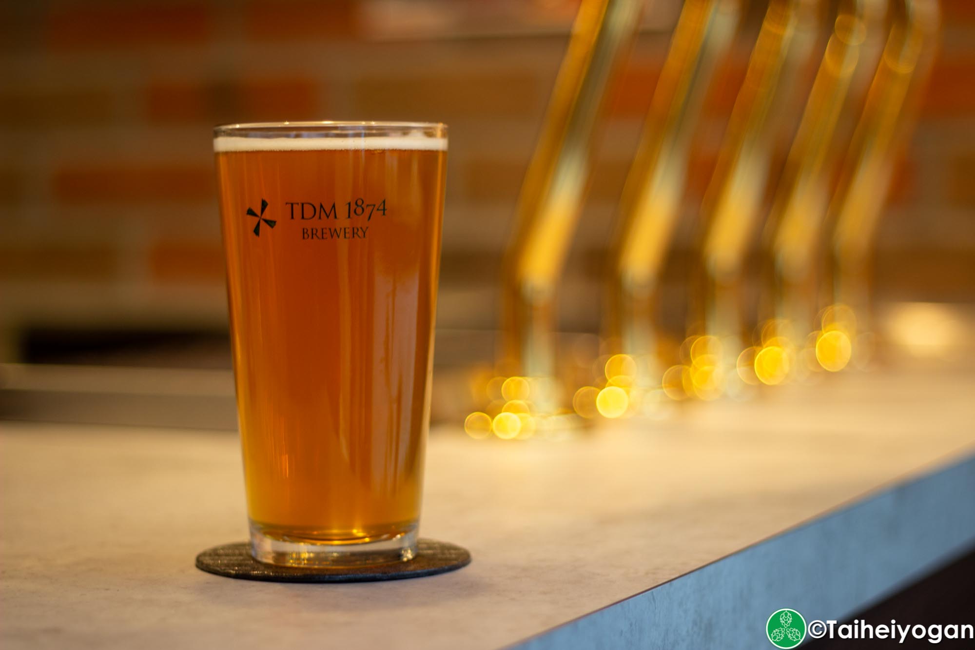 TDM 1874 Aoyama - Menu - TDM 1874 Craft Beer