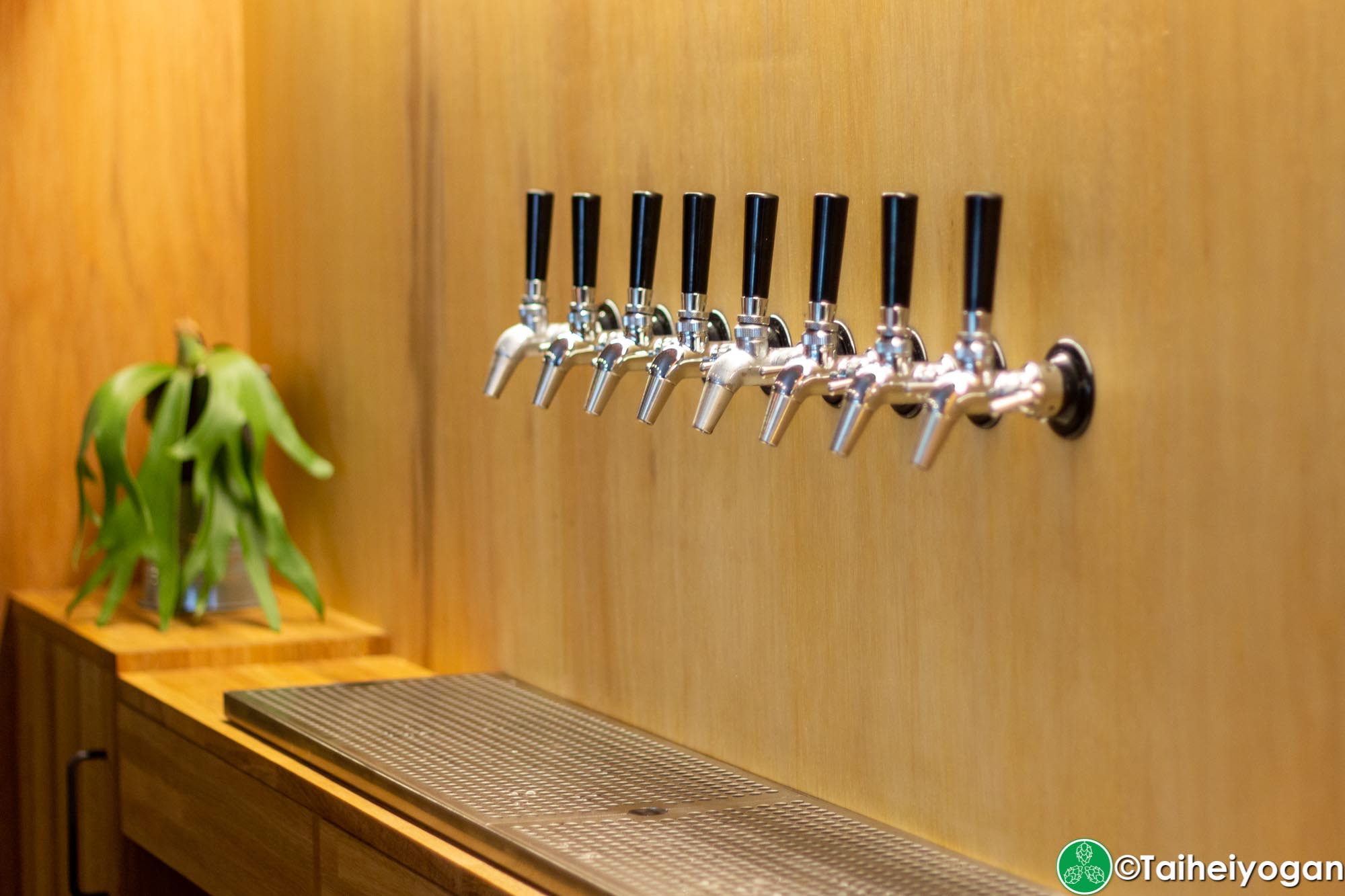 Folkways Brewing - Interior - Beer Taps