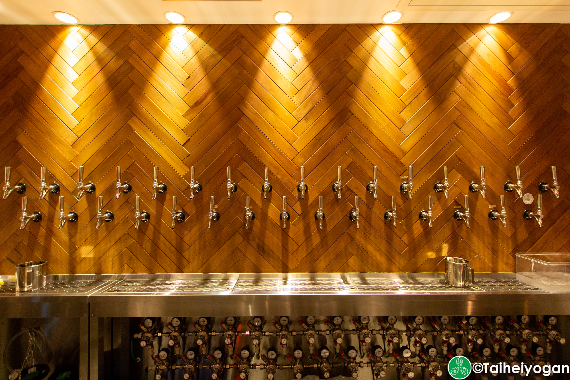 Craft Beer Server Land (赤坂見附店・Akasaka Mitsuke) - Interior - Bar Taps