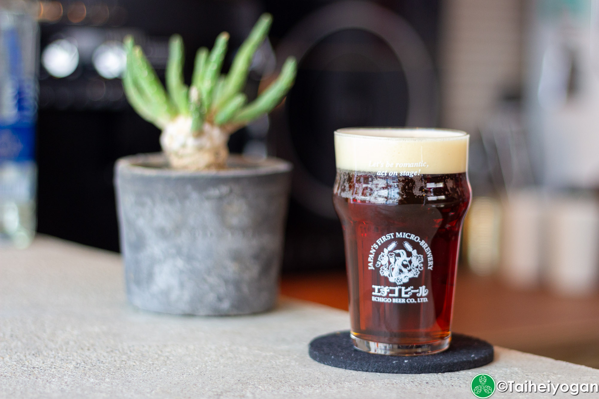 Daily Stand 204 - Menu - Echigo Craft Beer