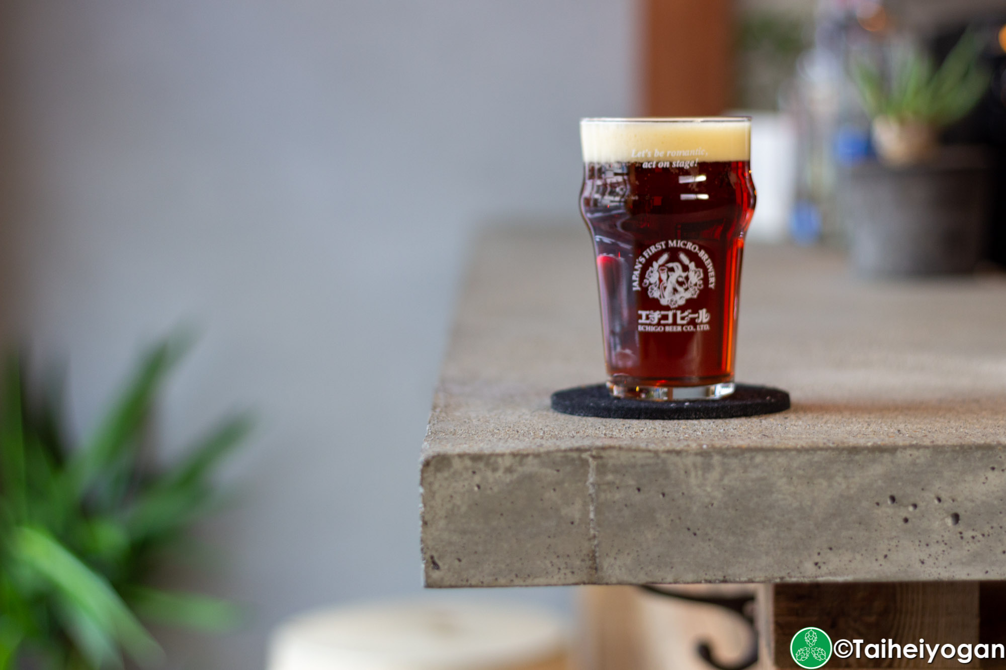 Daily Stand 204 - Menu - Echigo Craft Beer