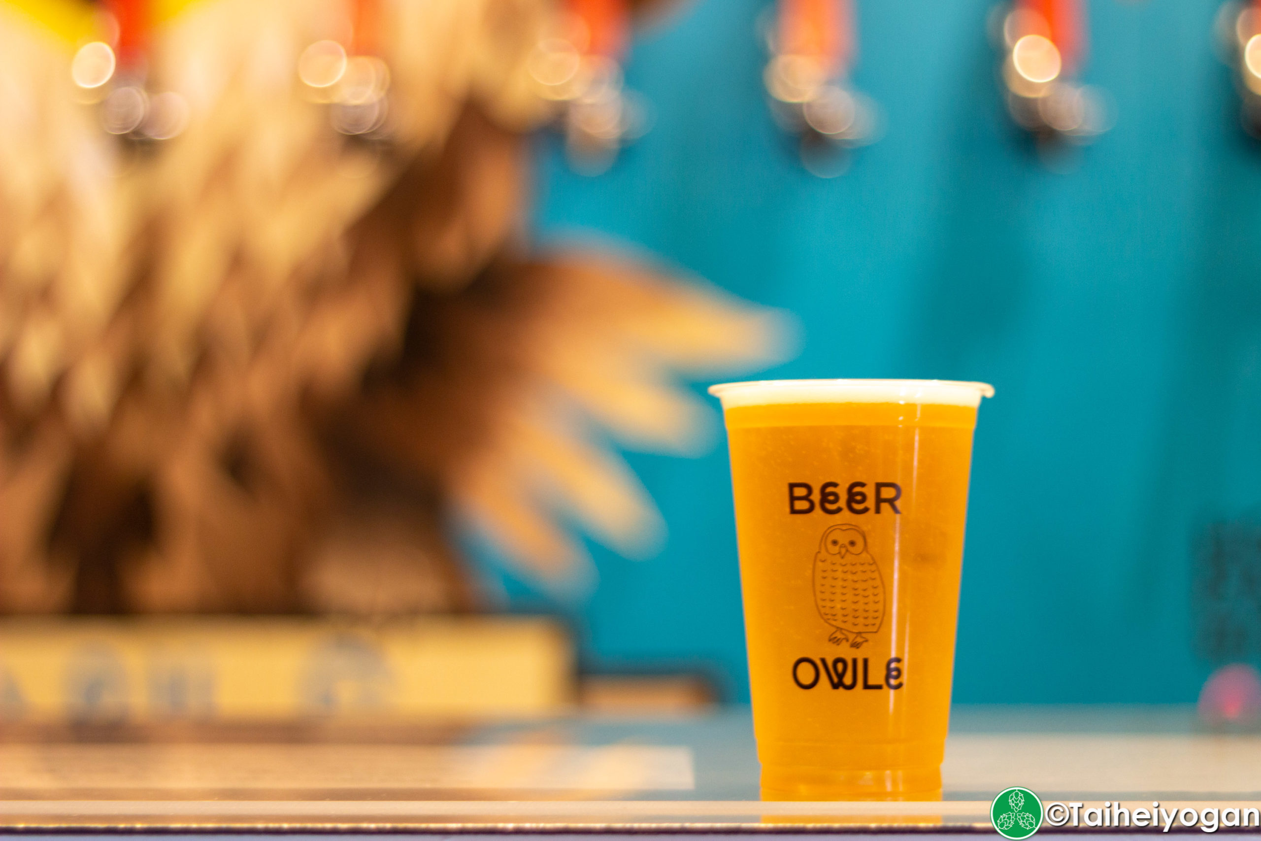 Beer Owle - Menu - Craft Beer