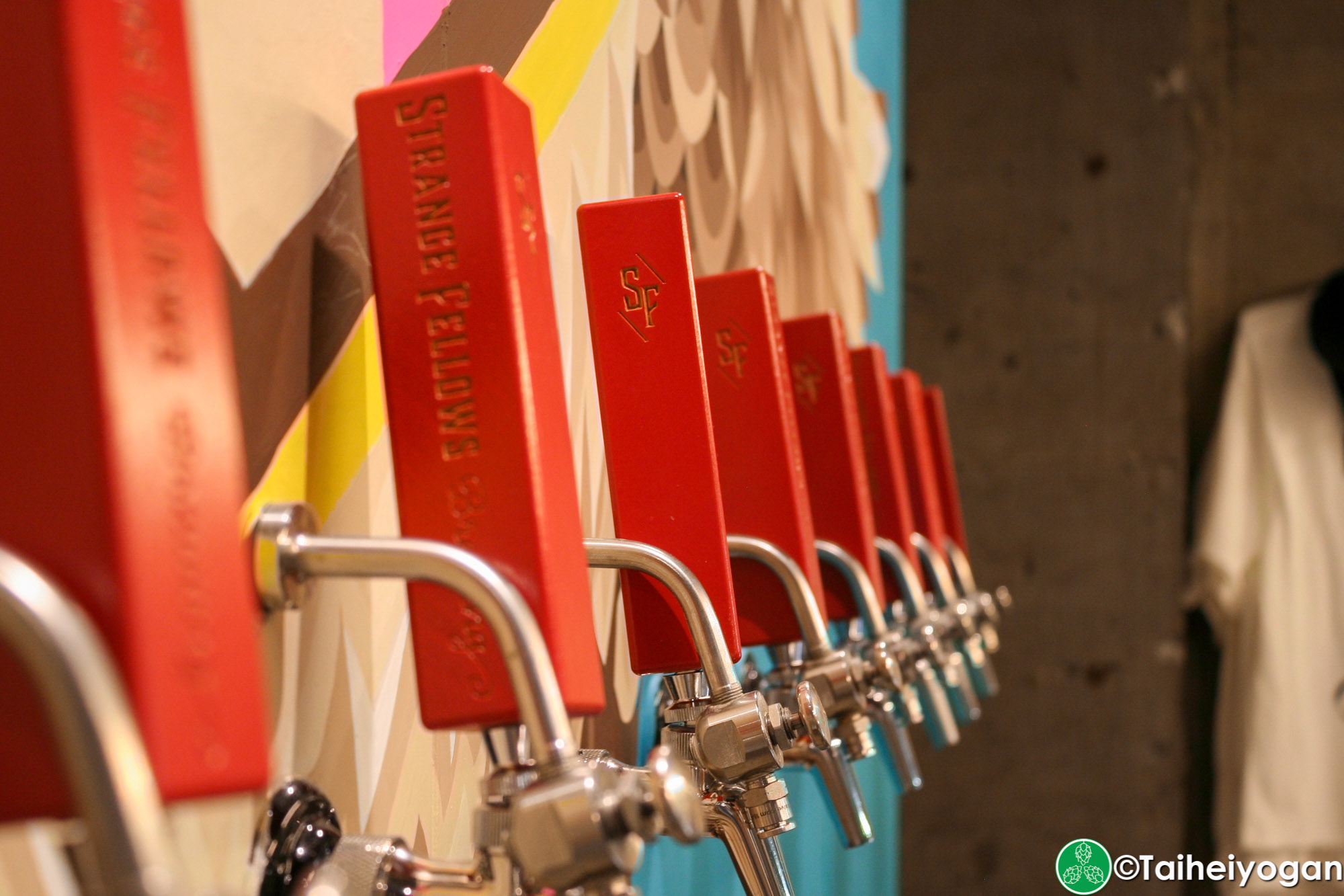 OWLE - Interior - Interior - Craft Beer Taps