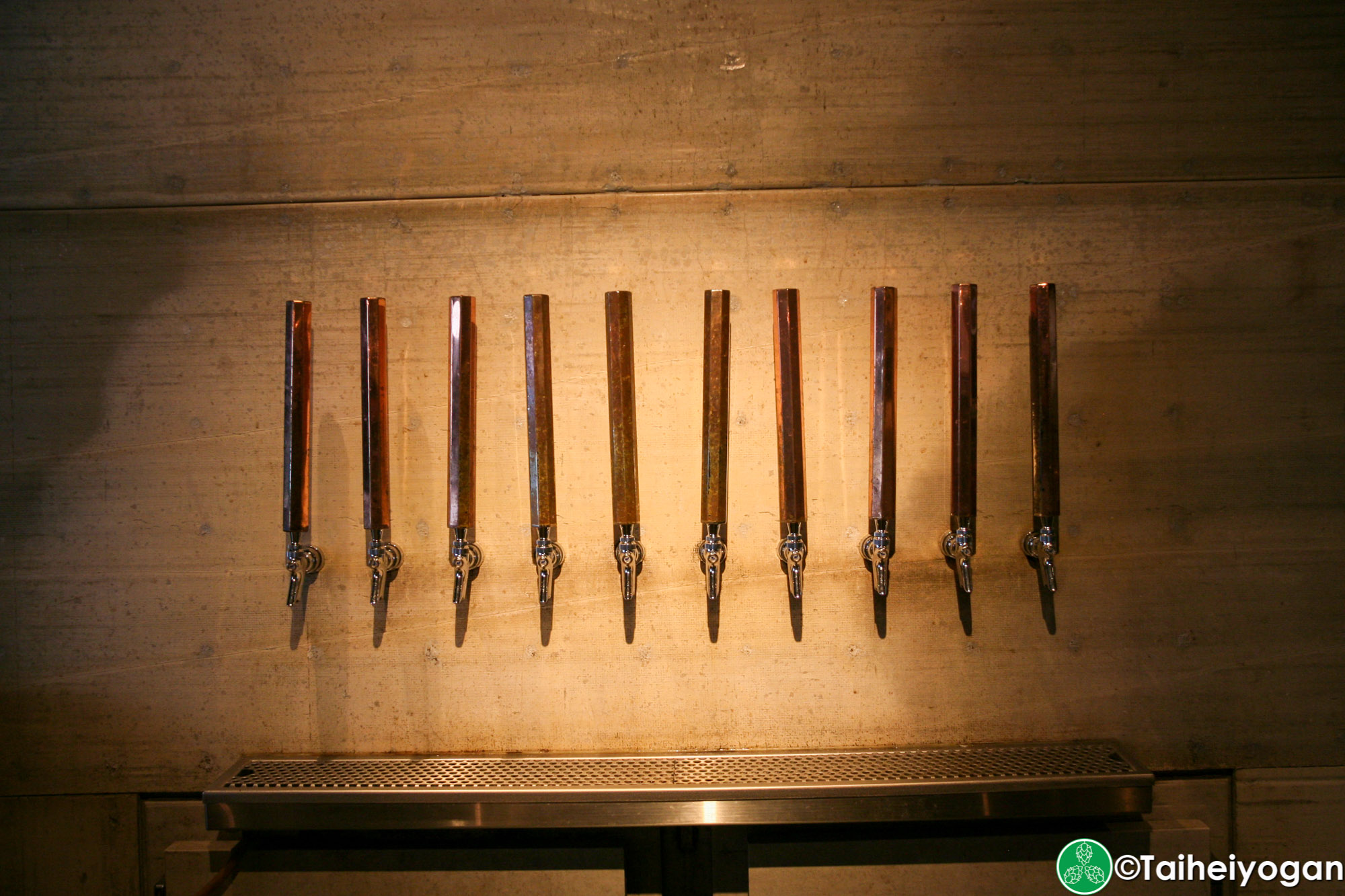 Octagon Brewing - Interior - Craft Beer Taps