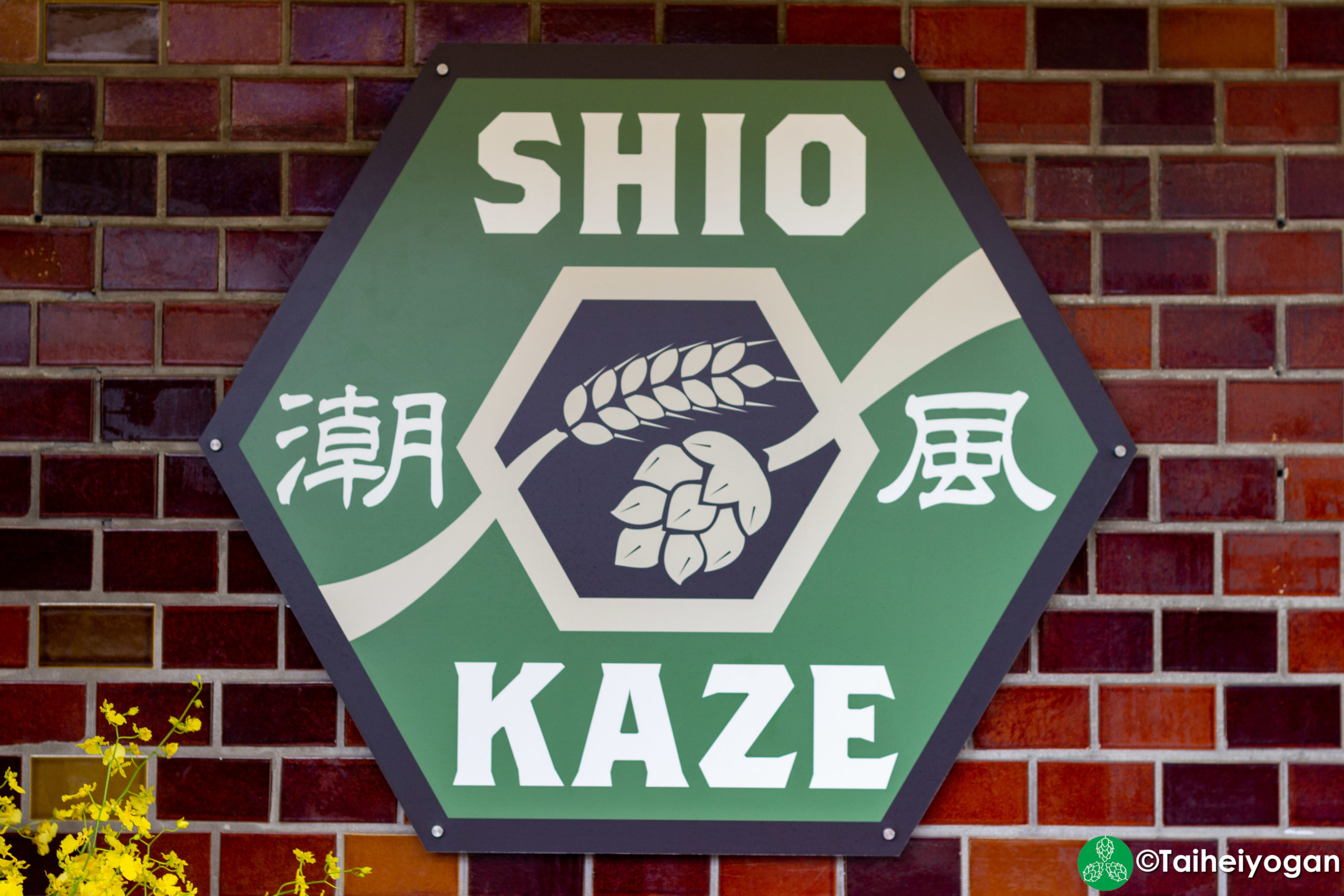 Shiokaze BrewStand Soga - Entrance Sign - Shiokaze Logo