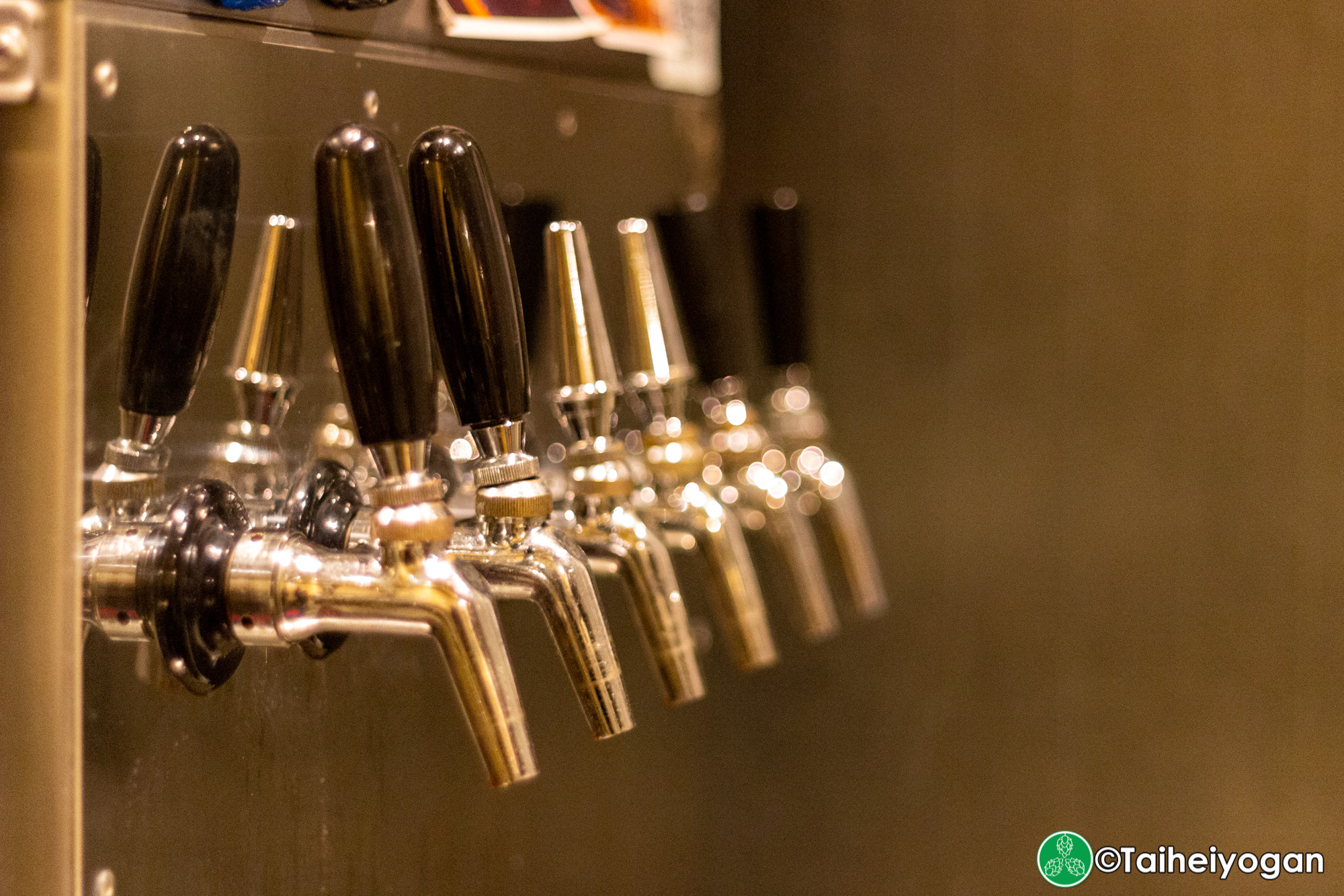Liquor Shop NIGHT OWL - Interior - Craft Beer Taps